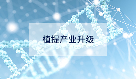 技術(shù)創(chuàng)新如何驅(qū)動(dòng)植提產(chǎn)業(yè)升級(jí)？