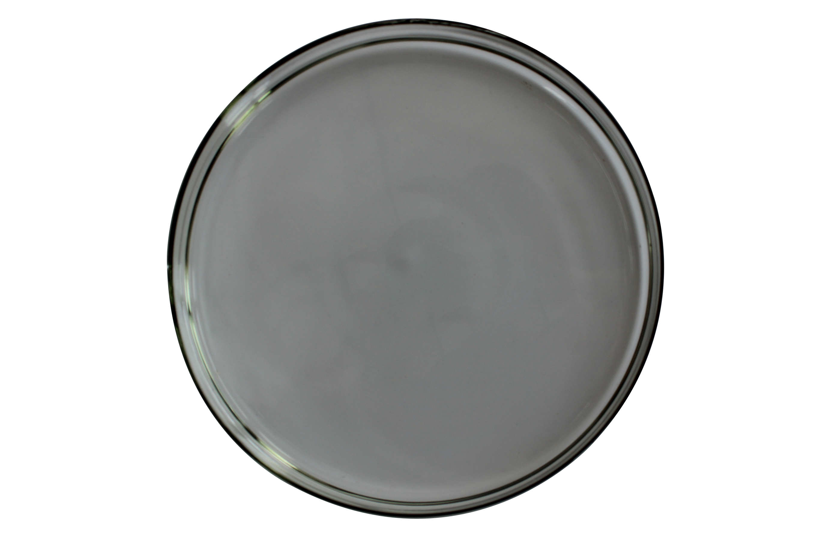 蝸牛分泌物濾液